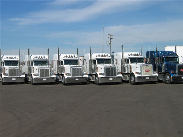 Libra Transport fleet of highway tractors lined up in the St. Albert yard